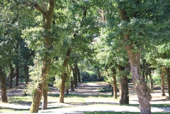 Alojamiento A Tafona Caldas De Reis Exterior foto